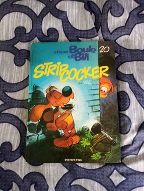 Vintage 1984 BOULE ET BILL hardcover Book (Francais)